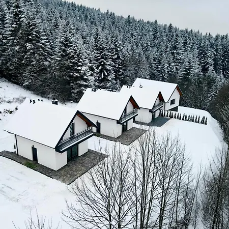 Dom wakacyjny Leśne Zacisze