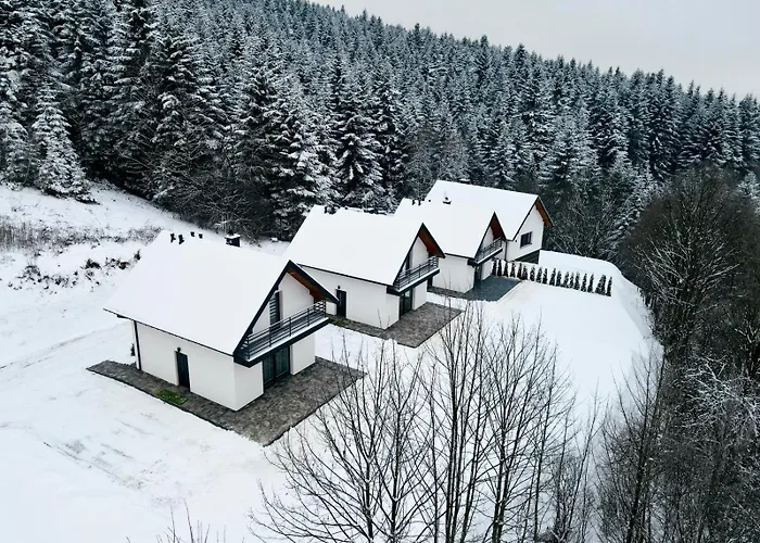 Dom wakacyjny Leśne Zacisze