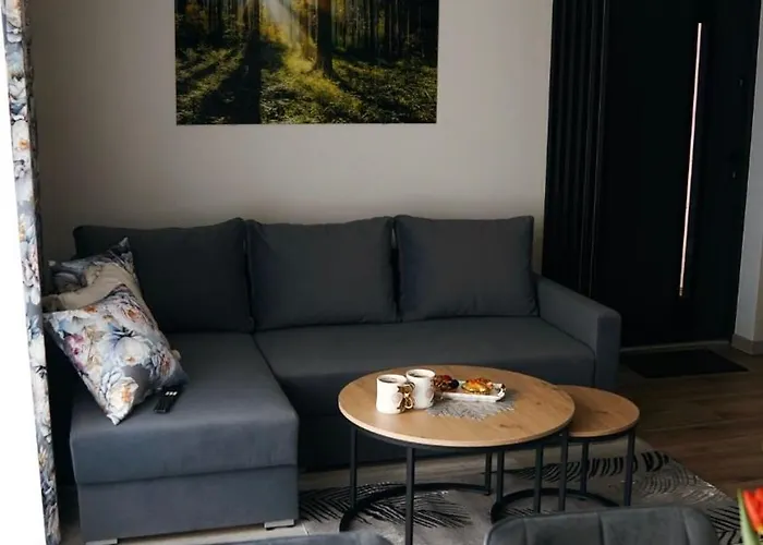 Leśne Zacisze Dom wakacyjny *